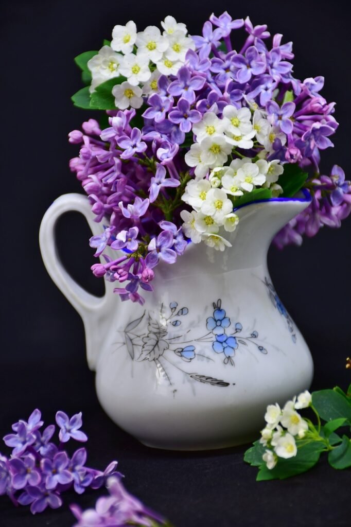 lilac, blossoms, still life, flora and fauna photography retreat