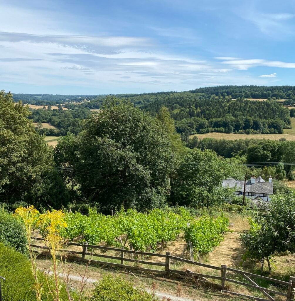 art retreat vineyard in Herefordshire