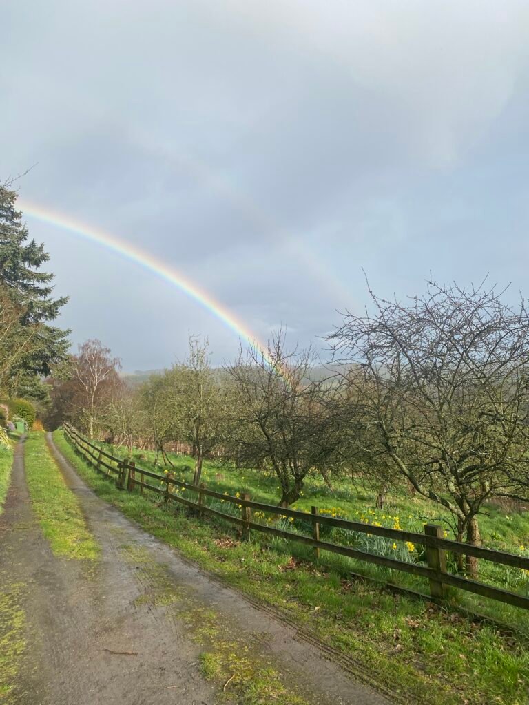 Driveway access at Backbury House Retreats