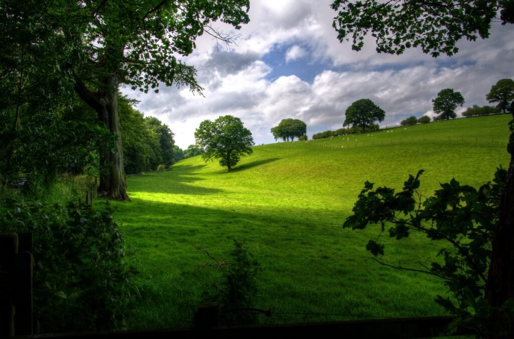 landscape photography