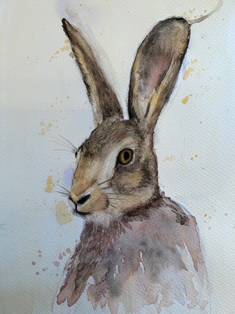 hare watercolour painting