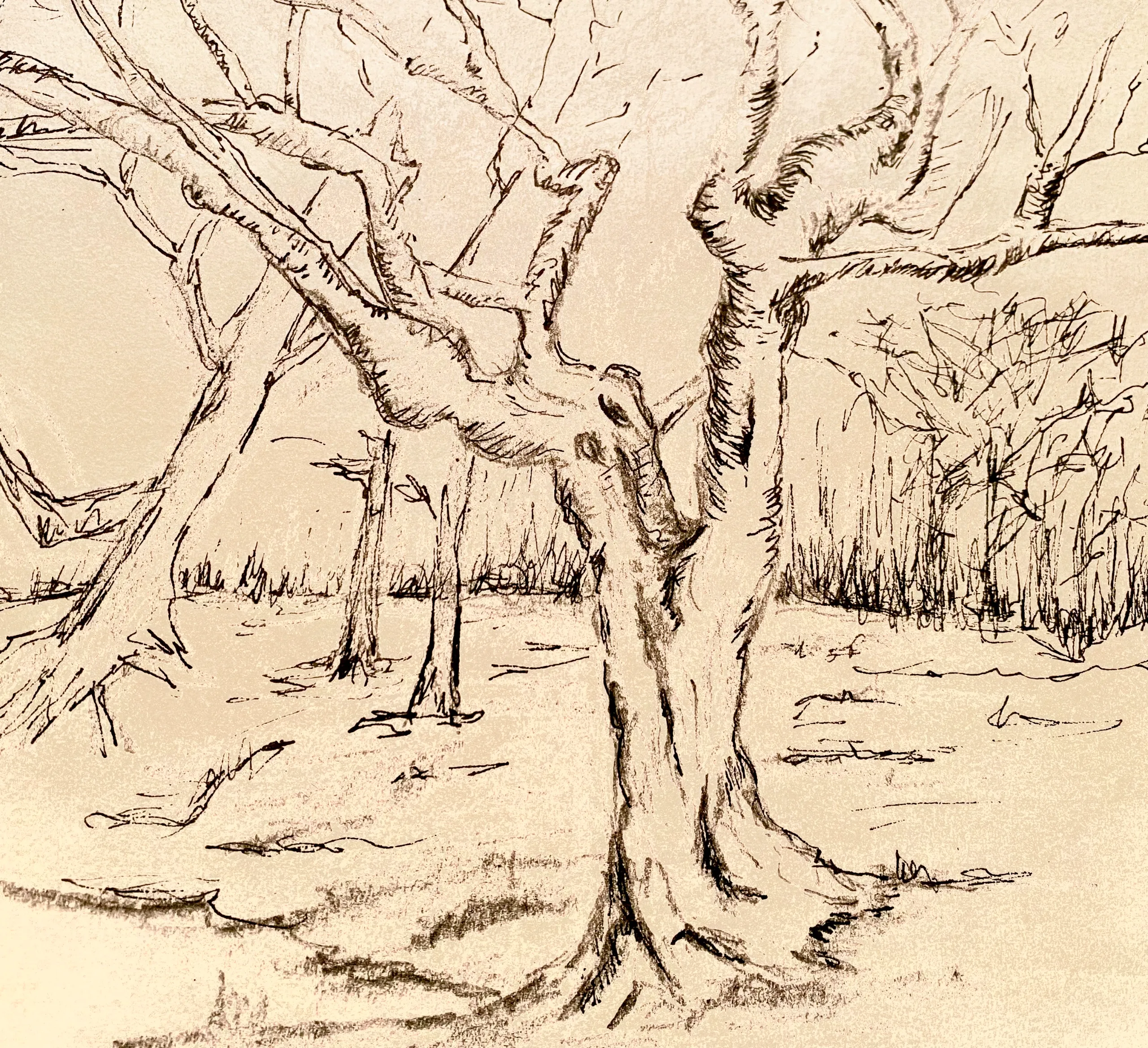 Art workshops in Hereford