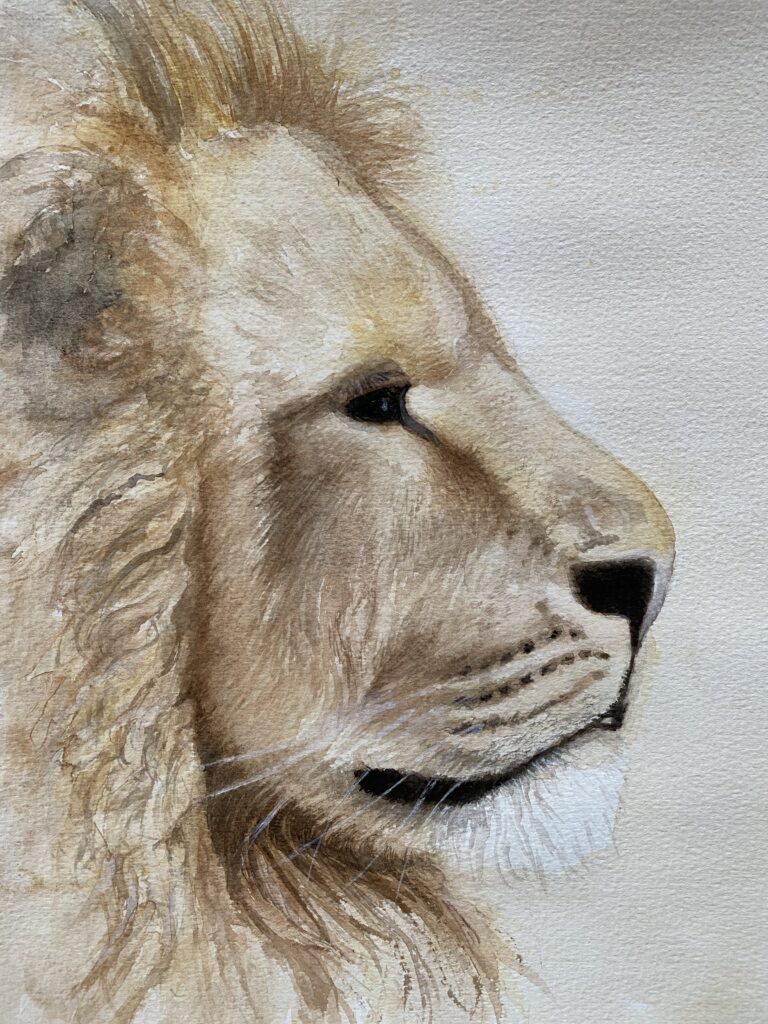 lion watercolour - animal painting retreat