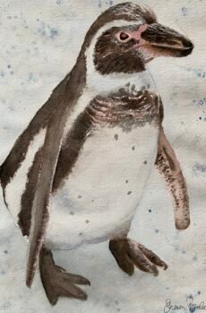 penguin watercolour art retreat