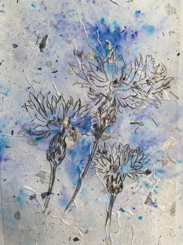 "Cornflower Print". An original etching print.