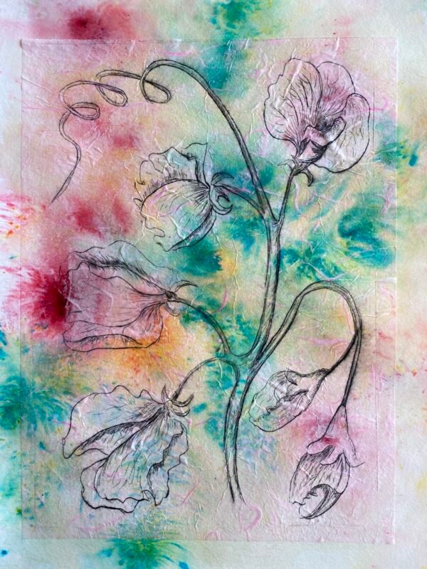 "Sweet Pea Print". An original etching print.