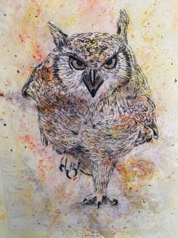 "Owl with Attitude Print". An original etching print.