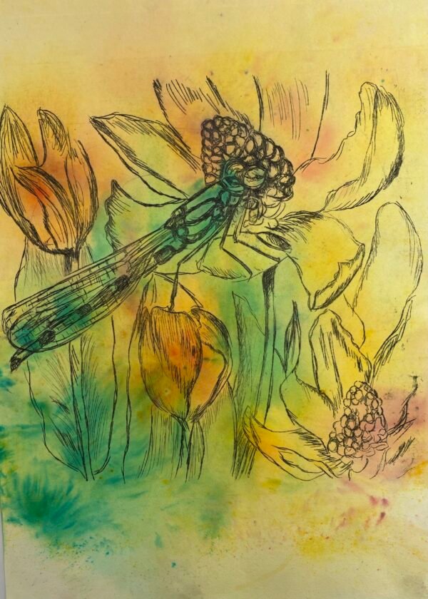 "Visiting Dragonfly". An original etching print.