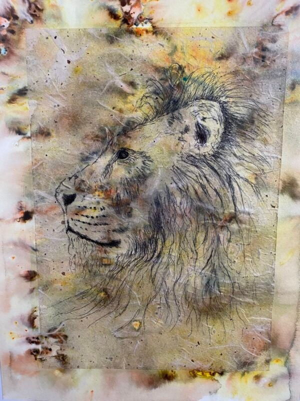 "The Majestic Lion". An original etching print.