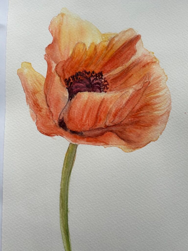 still life painting of a poppy, art course exemplar