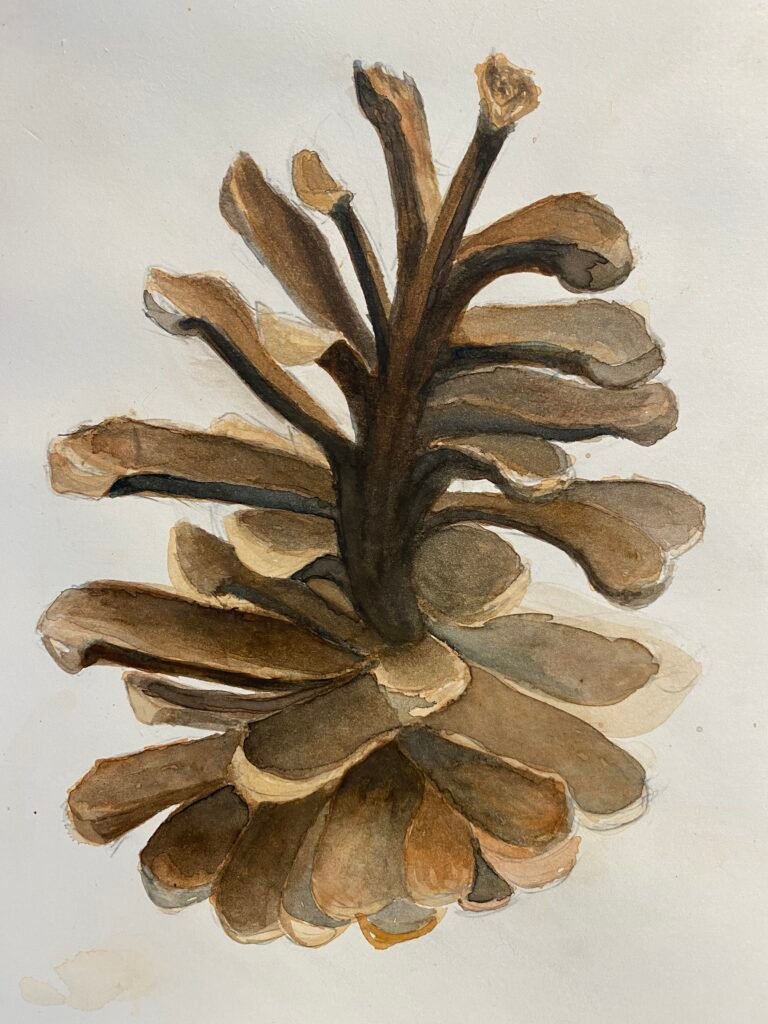 still life painting of a pine cone, still life course exemplar