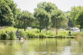 Lake view of campsite accommodation