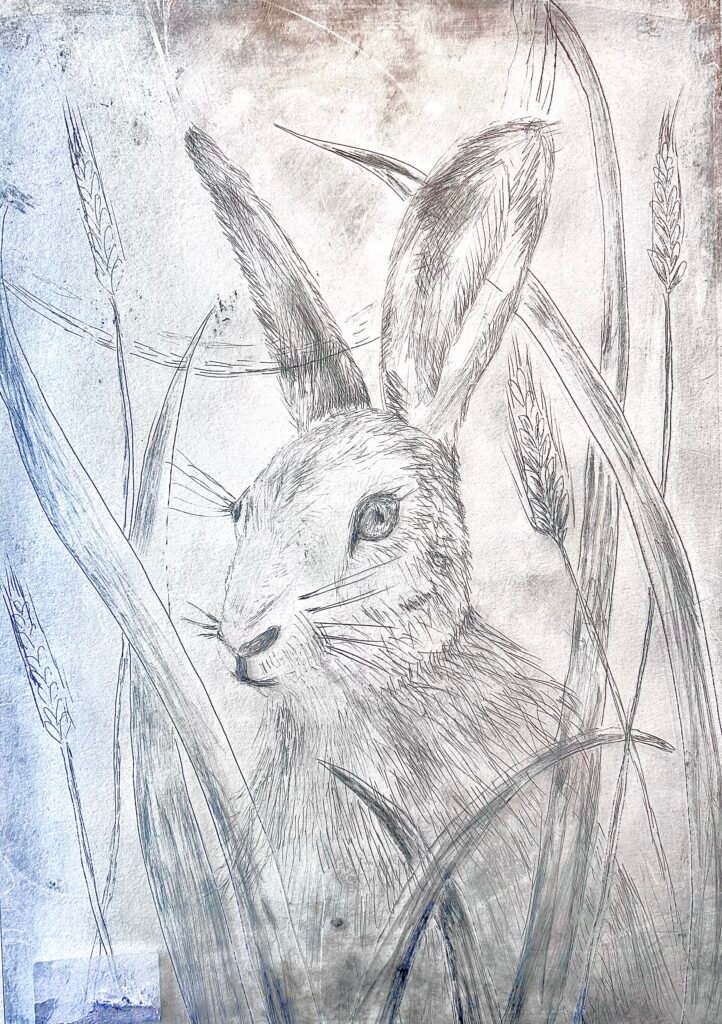 A Perspex etching plate with hare design