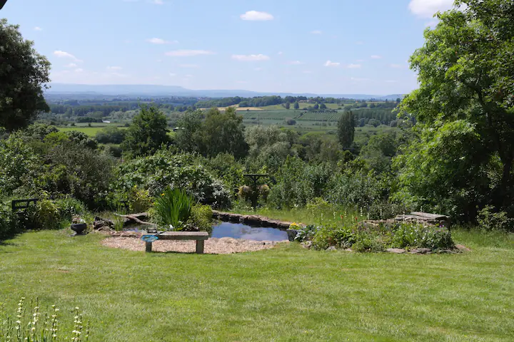 Garden view at Airbnb accommodation