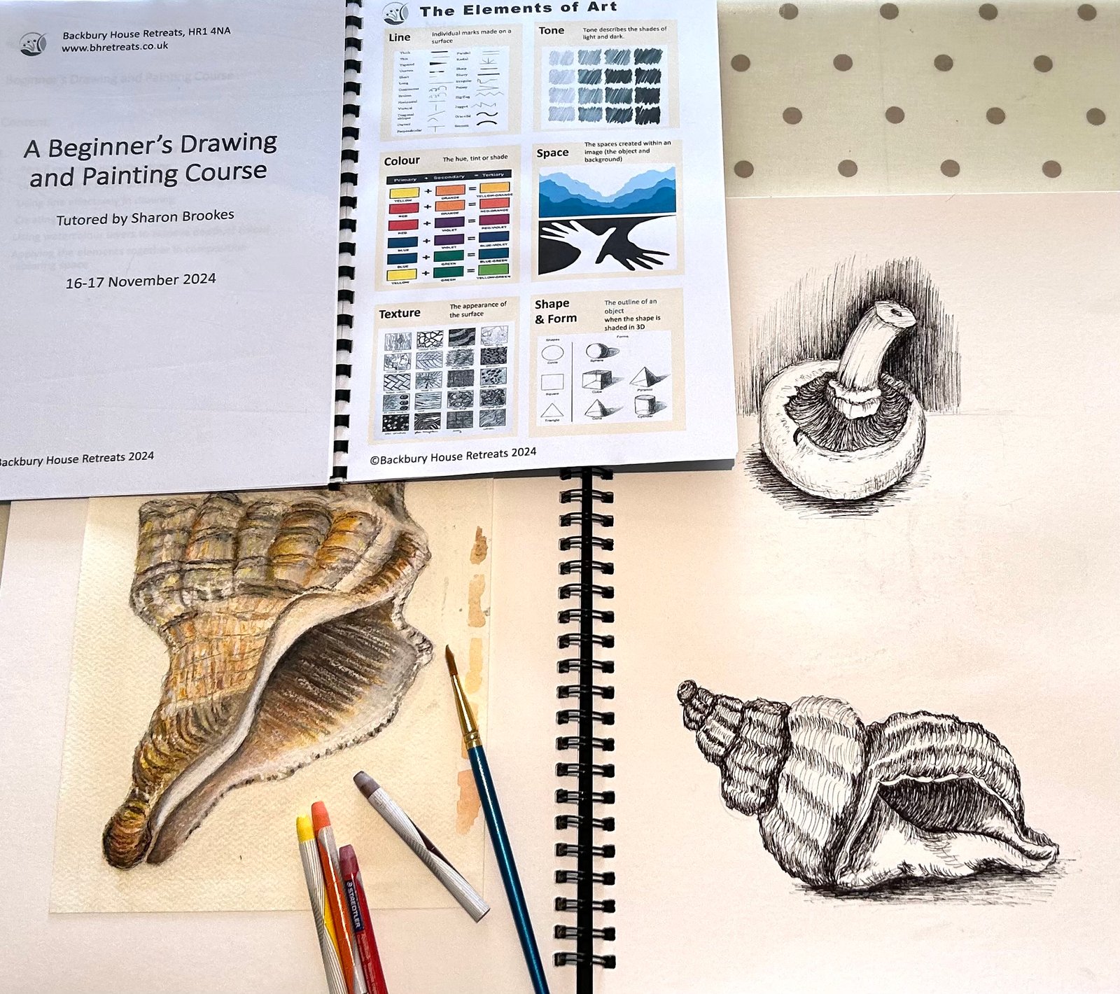 beginners still life course image