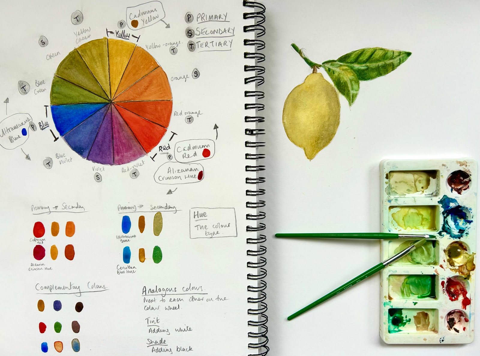 colour theory workshop image