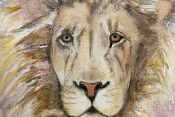 lion watercolour painting